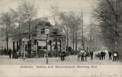 15660 Gezicht in de Woudenbergseweg met loofbomen te Zeist uit het zuidwesten; met in het midden de voorgevel van de ...